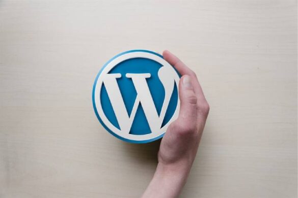 How You Can Plan Your Website With Custom WordPress Development