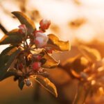 Bart Springtime: Embracing the Season of Renewal